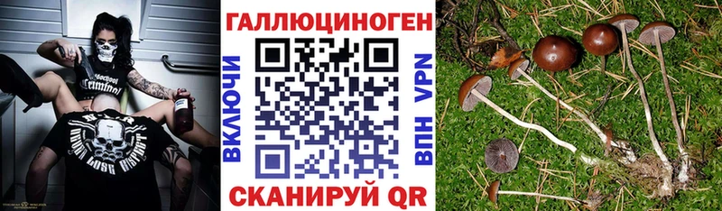 Галлюциногенные грибы GOLDEN TEACHER  купить  сайты  Юрга 